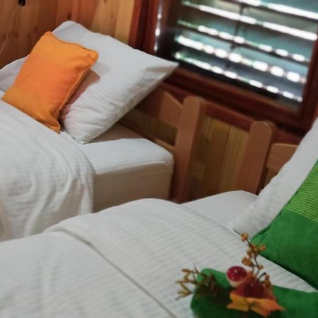 Apartman Orlovo Oko Mandici 外观 照片